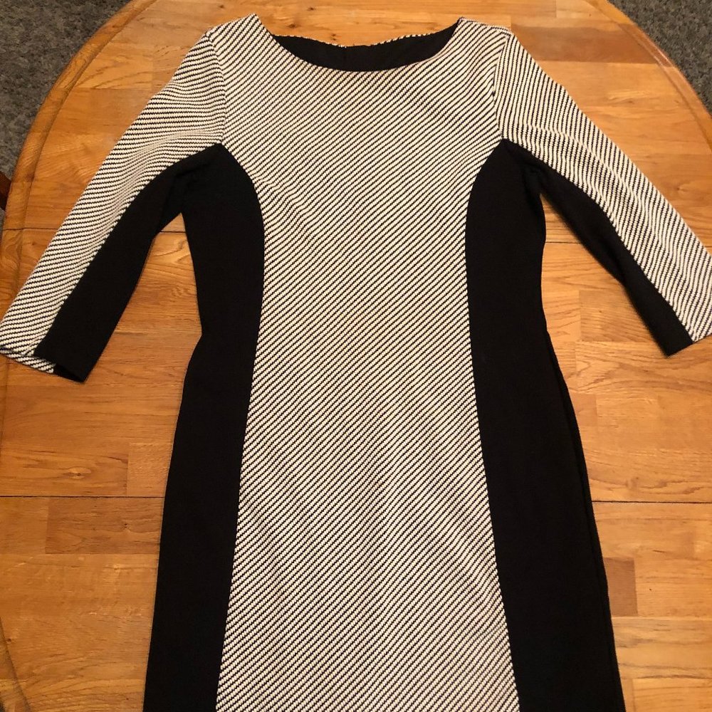 Banana Republic Black and White Bodycon Dress